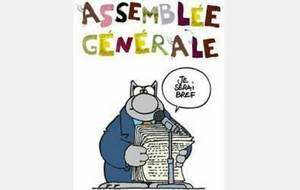 ASSEMBLE GENERALE